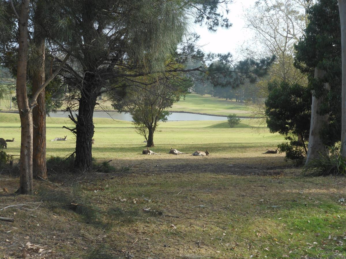 Golf View Motel Sanctuary Point Extérieur photo